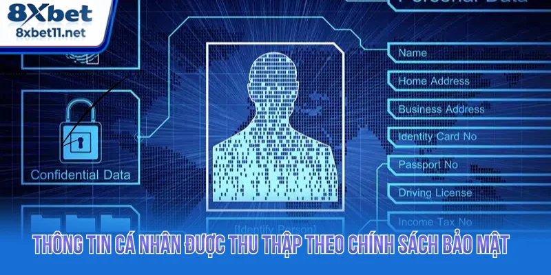 Thông tin cá nhân thành viên được thu thập theo chính sách bảo mật 