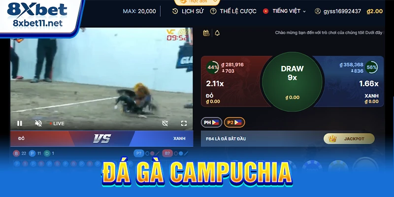 Đá Gà Campuchia 8XBET - Xem Trực Tiếp Với Tỷ Lệ Cao 1 đá gà Campuchia