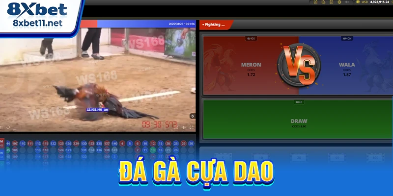 đá gà cựa dao