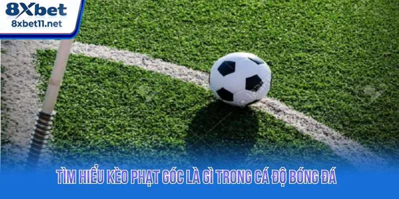 Kèo Phạt Góc Là Gì? Những Sai Lầm Thường Gặp 2 Tìm hiểu xem kèo phạt góc là gì