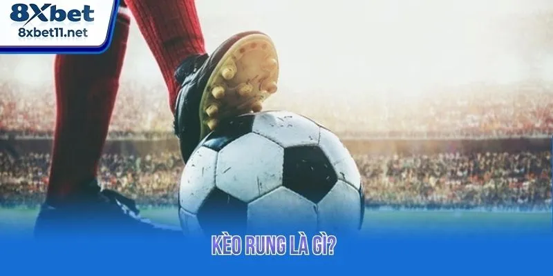 Kèo Rung - Cách Đọc Kèo Thực Tế Từ A-Z Cho Người Mới 2 Tìm hiểu thông tin cơ bản kèo rung cho tân binh