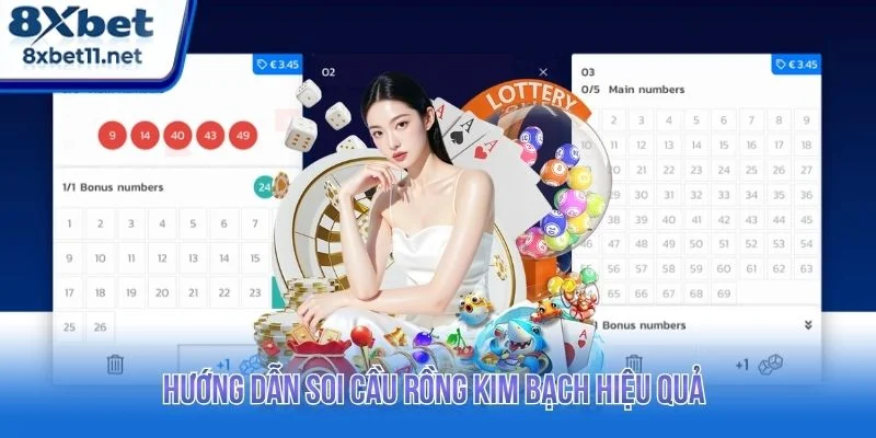 Người chơi có thể áp dụng một số kinh nghiệm soi cầu rồng kim bạch thực tế từ cao thủ